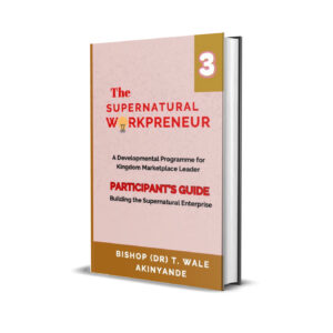 The Supernatural Workpreneur: Participant Guide 3: Building the Supernatural Enterprise
